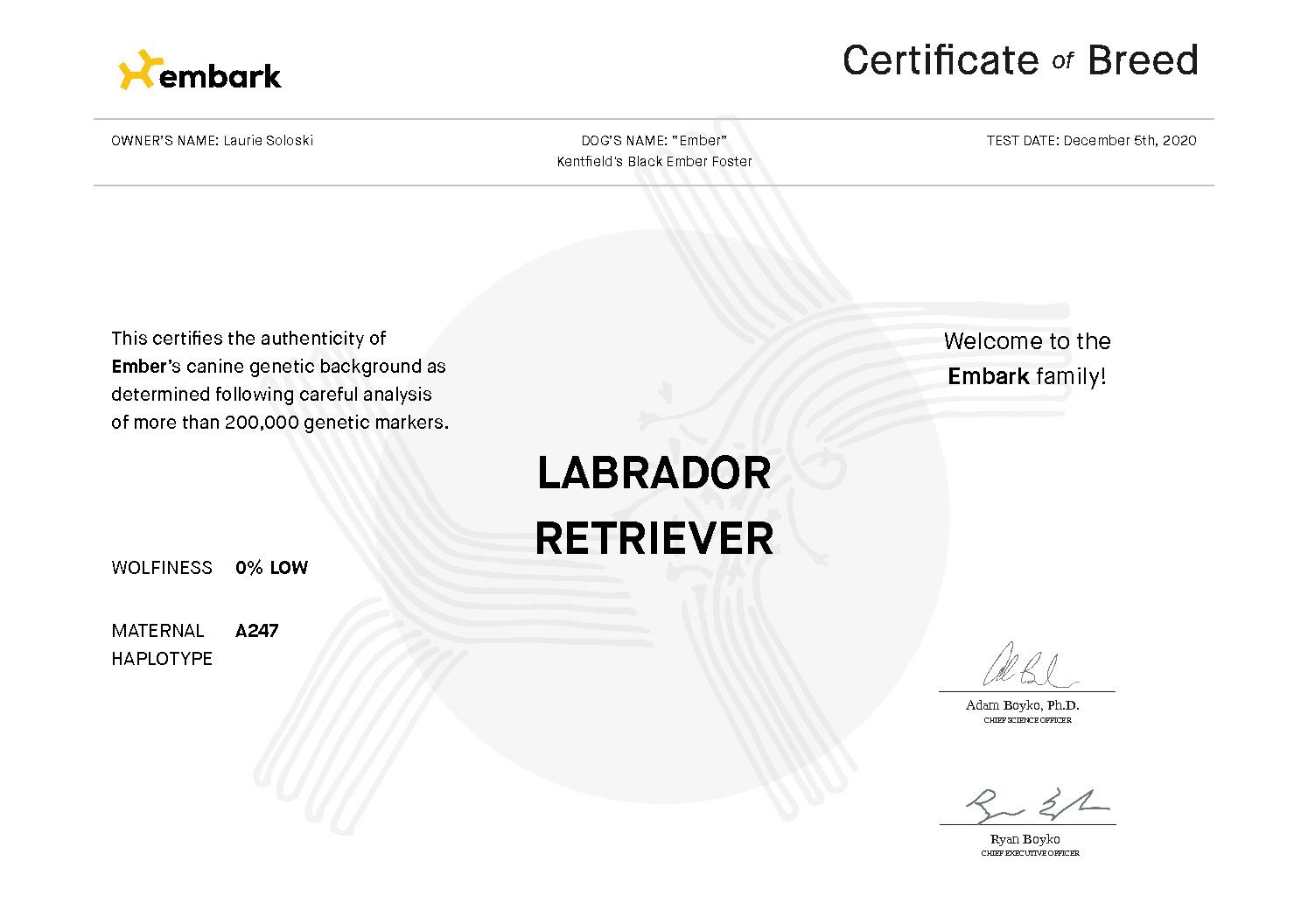 Embark certificate Ember