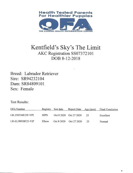 OFA report Kentfield's Sky's the Limit sm
