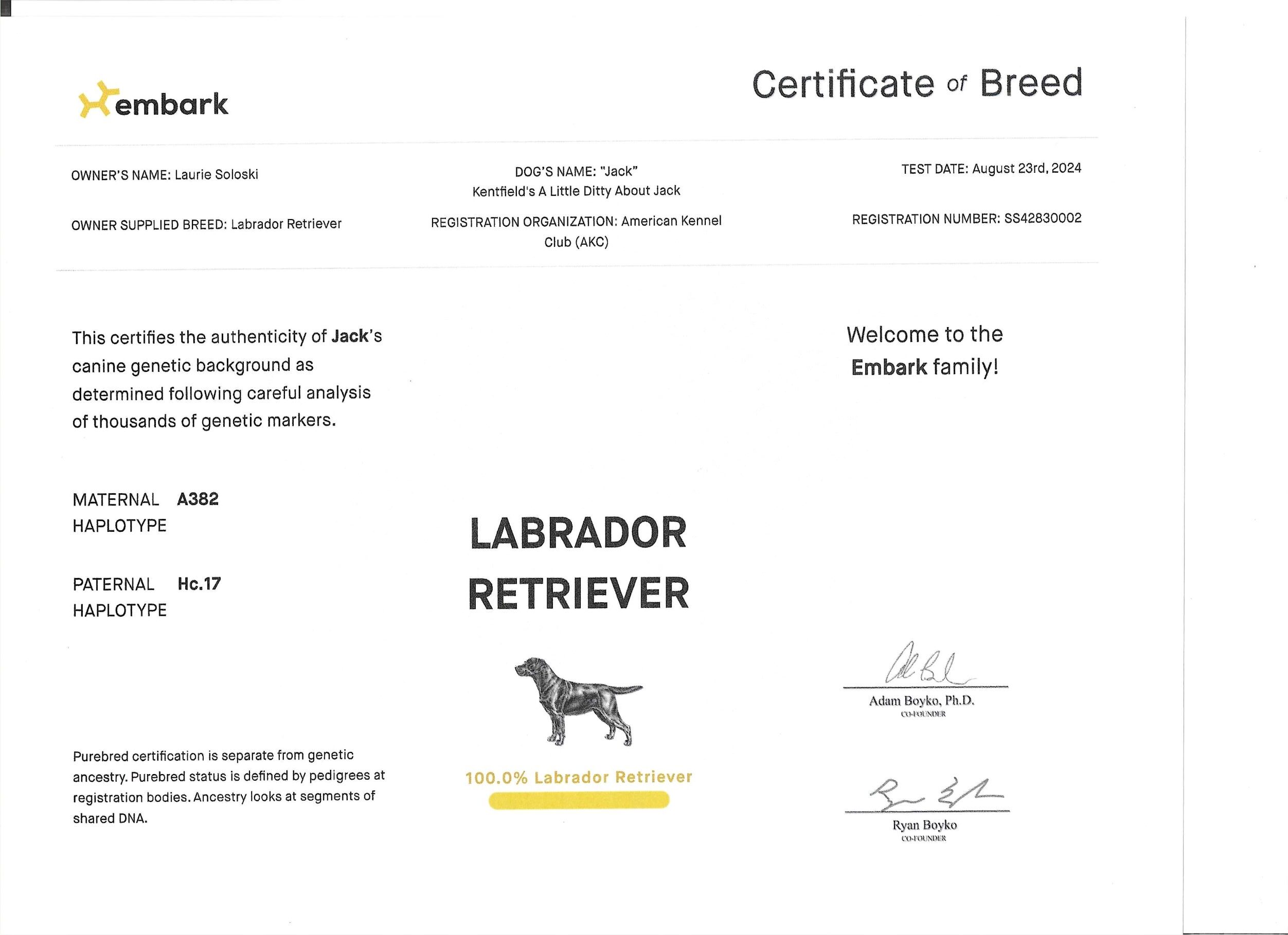 Embark Certificate Kentfields A Bit of French Lace resized