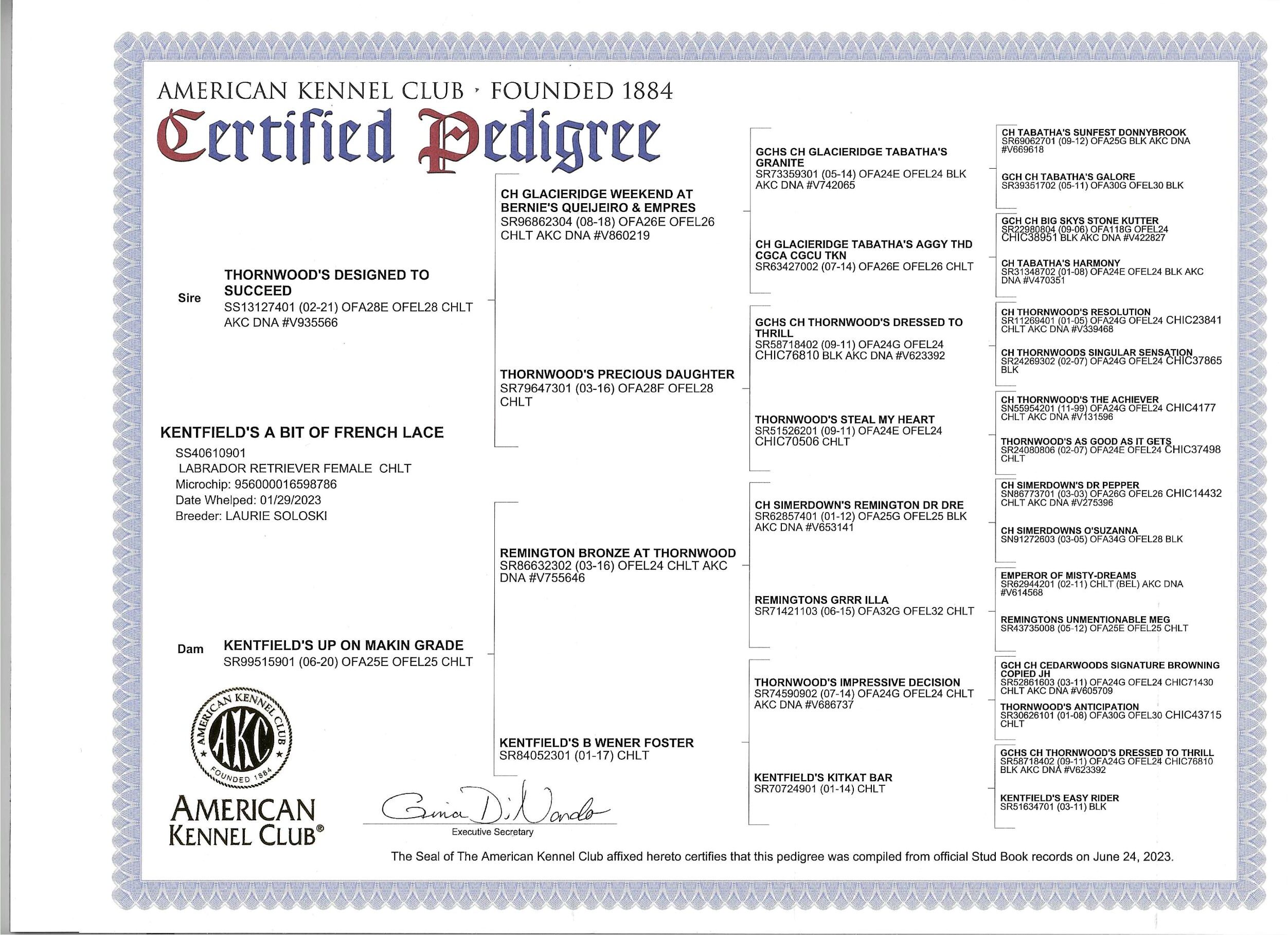 resized AKC Pedigree Kentfields A Bit of French Lace