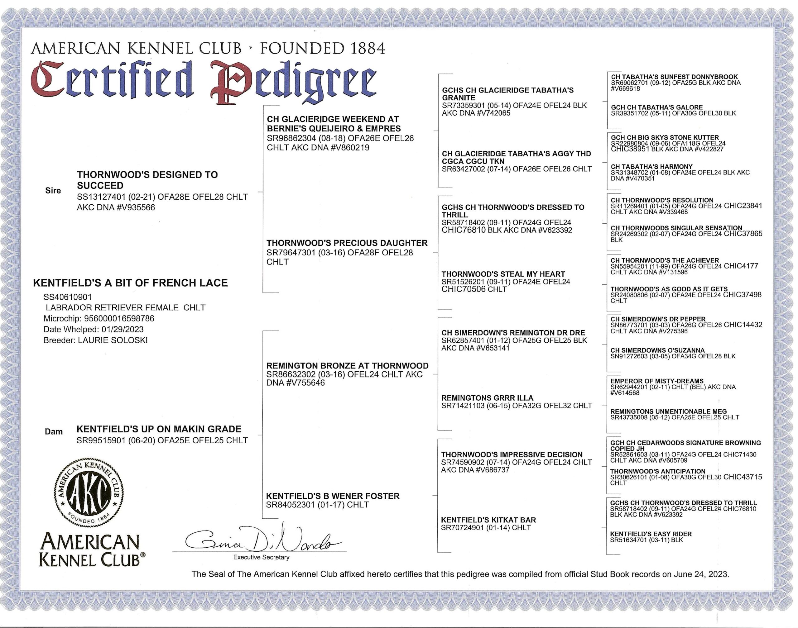 AKC Pedigree Kentfields A Bit of French Lace