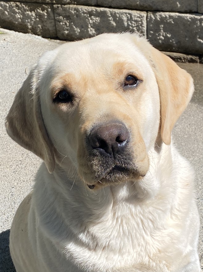 Murphy head shot