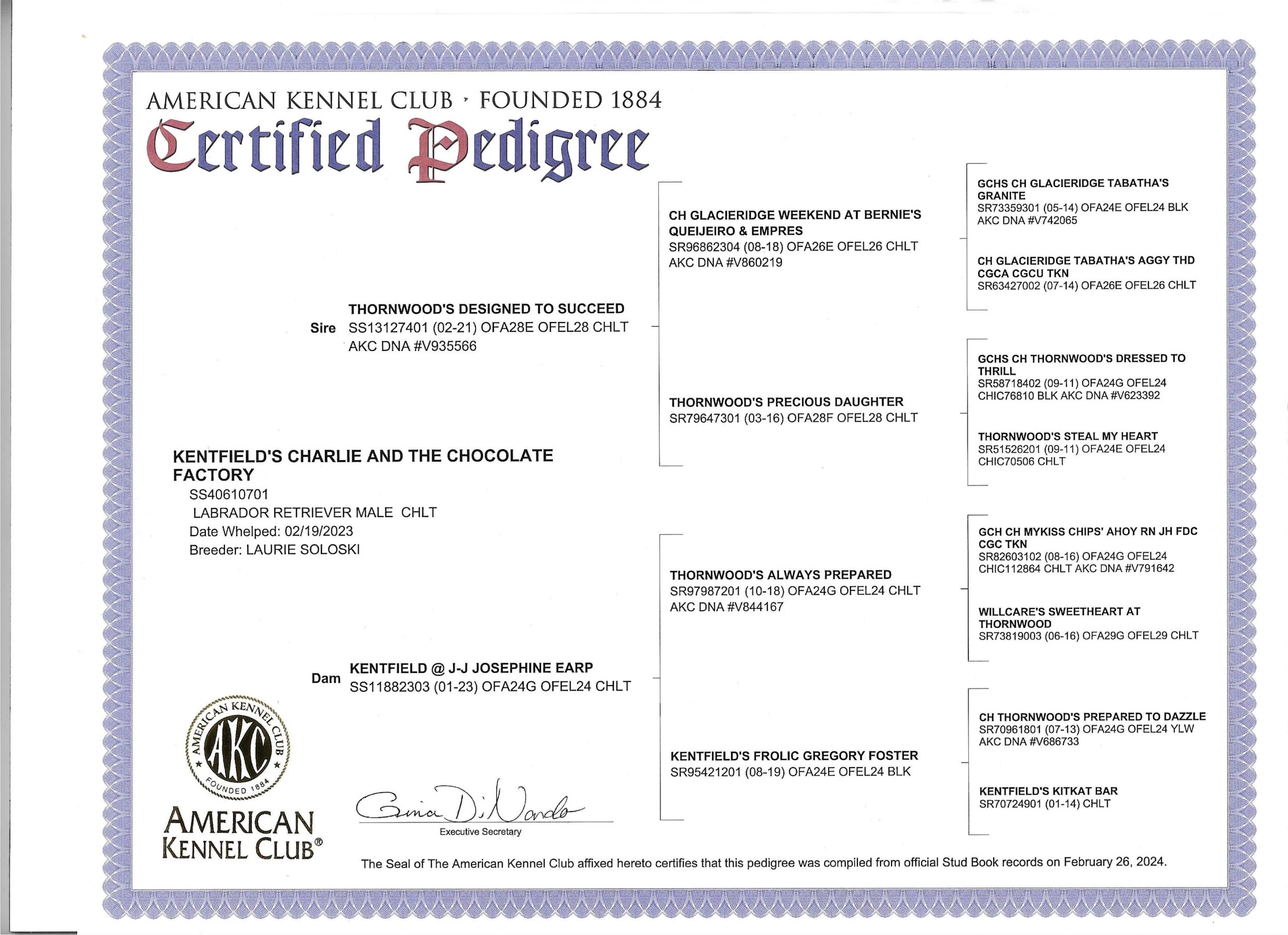 AKC Pedigree Kentfields Charlie and the Chocolate Factory