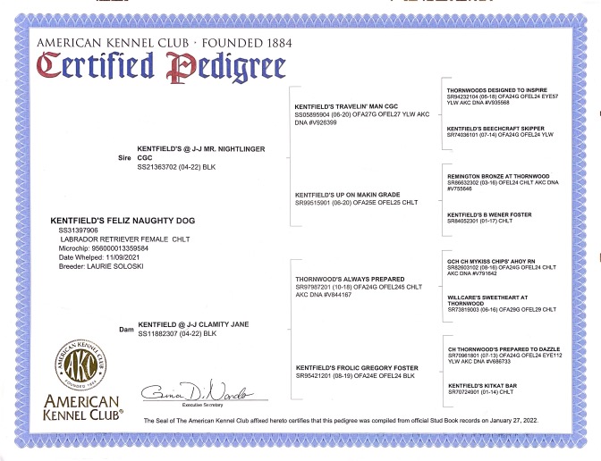 Feliz pedigree