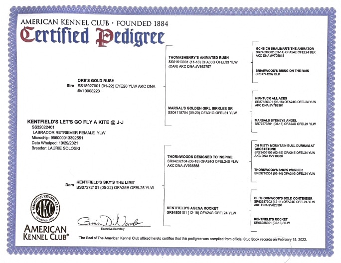 dog health cert